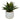 Planta Artificial Luko - Verde y Blanco - Tugow