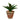 Planta Artificial Jackie- Verde - Tugow