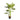 Planta Artificial Dash - Verde y Negro - Tugow