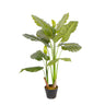 Planta Artificial Dash - Verde y Negro - Tugow
