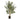 Planta Artificial Lali - Verde y Negro - Tugow
