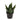 Planta Artificial Zayn - Verde y Negro - Tugow