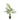 Planta Artificial Gannon - Verde y Blanco - Tugow