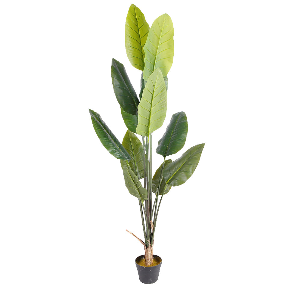 Planta Artificial Tatch - Verde y Negro - Tugow