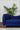 Sofá de 2 plazas terciopelo Giulia - Azul - Tugow