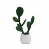Cactus Lyris - Verde y Blanco - Tu Gow